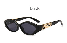 Load image into Gallery viewer, Luxury Small Women Sunglasses